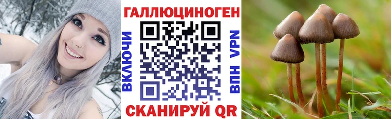 Галлюциногенные грибы Cubensis где найти Михайлов